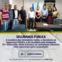 Segurança Pública